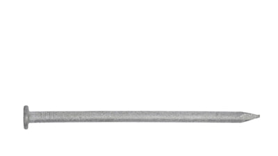 COMMON NAILS Hot Dip Galvanized