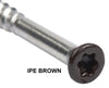 IPE BROWN COLOR 7 x 2-1/4 COLOR TRIM FINISH HEAD STAINLESS-TORX DECK SCREWS Torx (Star) Drive 305 Stainless Steel Trim Head with Nibs to Countersink Type-17 Cutting Point